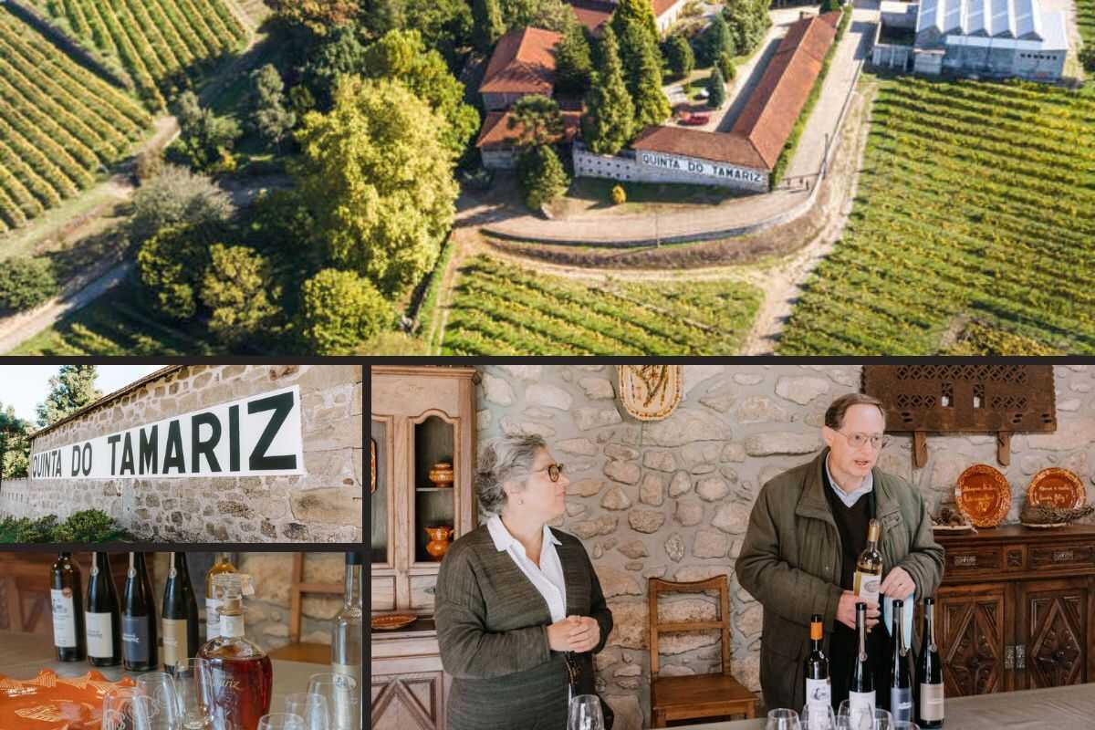 Things to do in barcelos Quinta do Tamariz