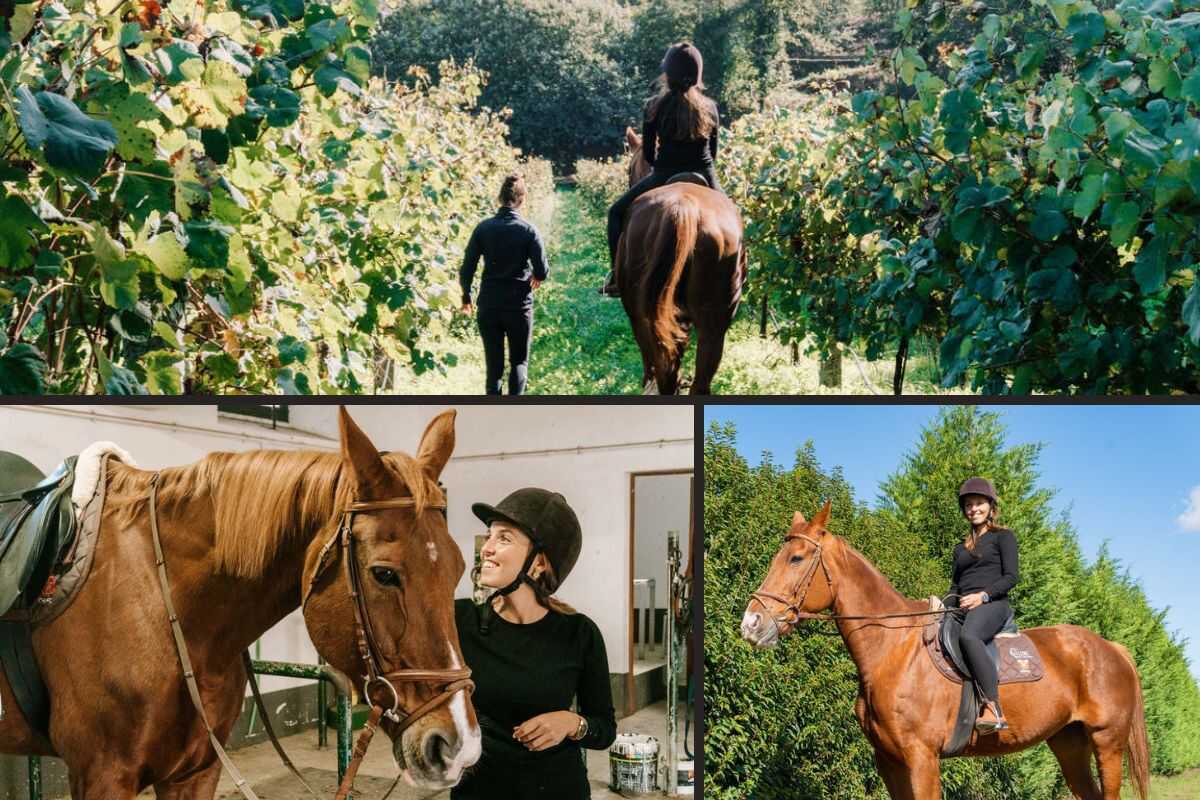 Things to do in barcelos Horseback Ride Amidst Nature