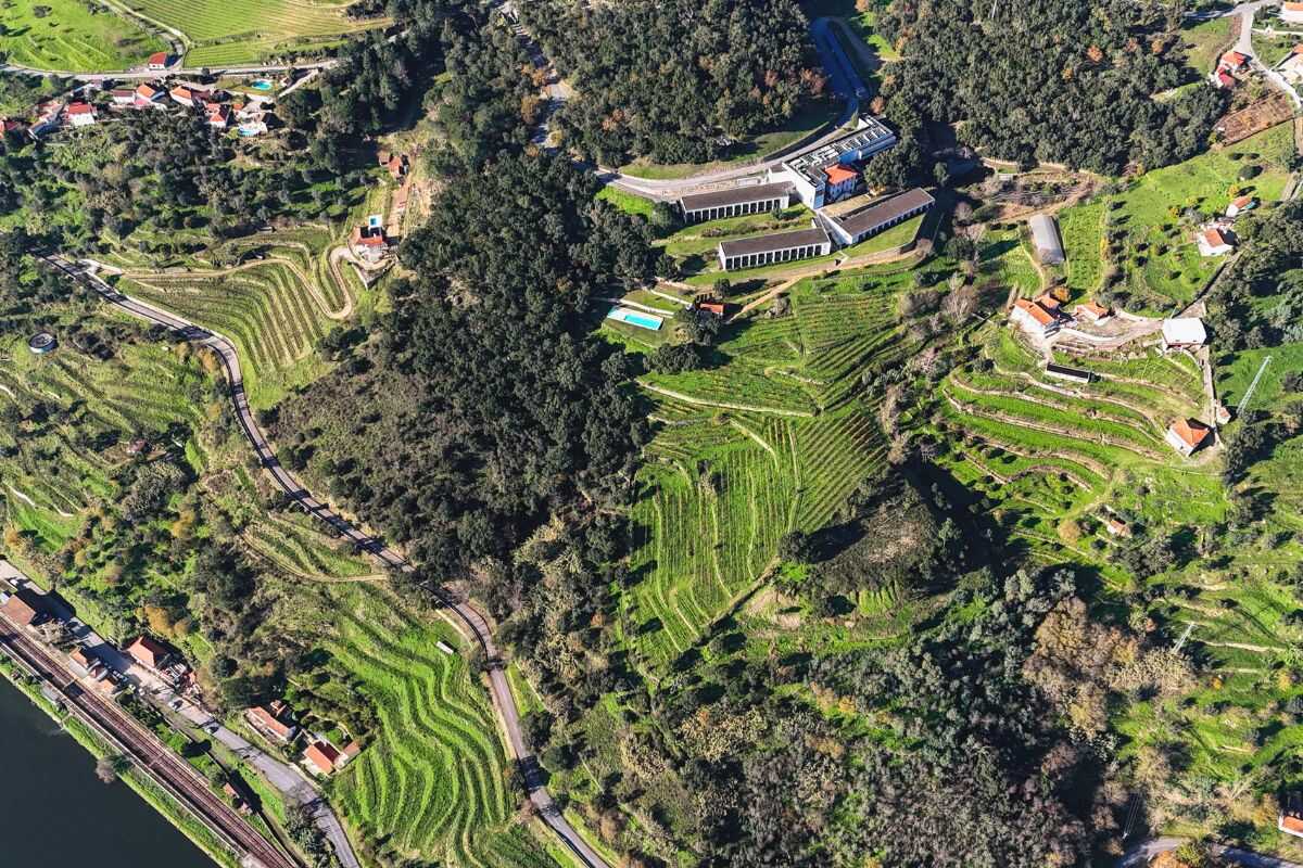 Vineyards