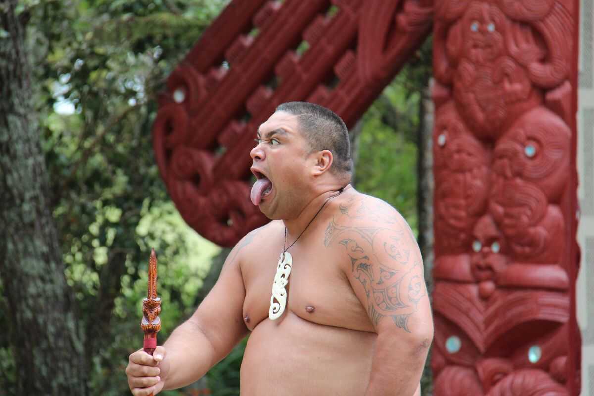 Maori guide leads a sustainable whale-watching tour in New Zealand, blending Indigenous conservation practices with eco-tourism.