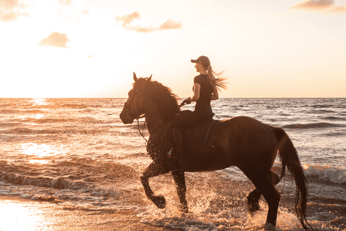 Oceanfront wellness retreat and equine therapy at NIHI Sumba