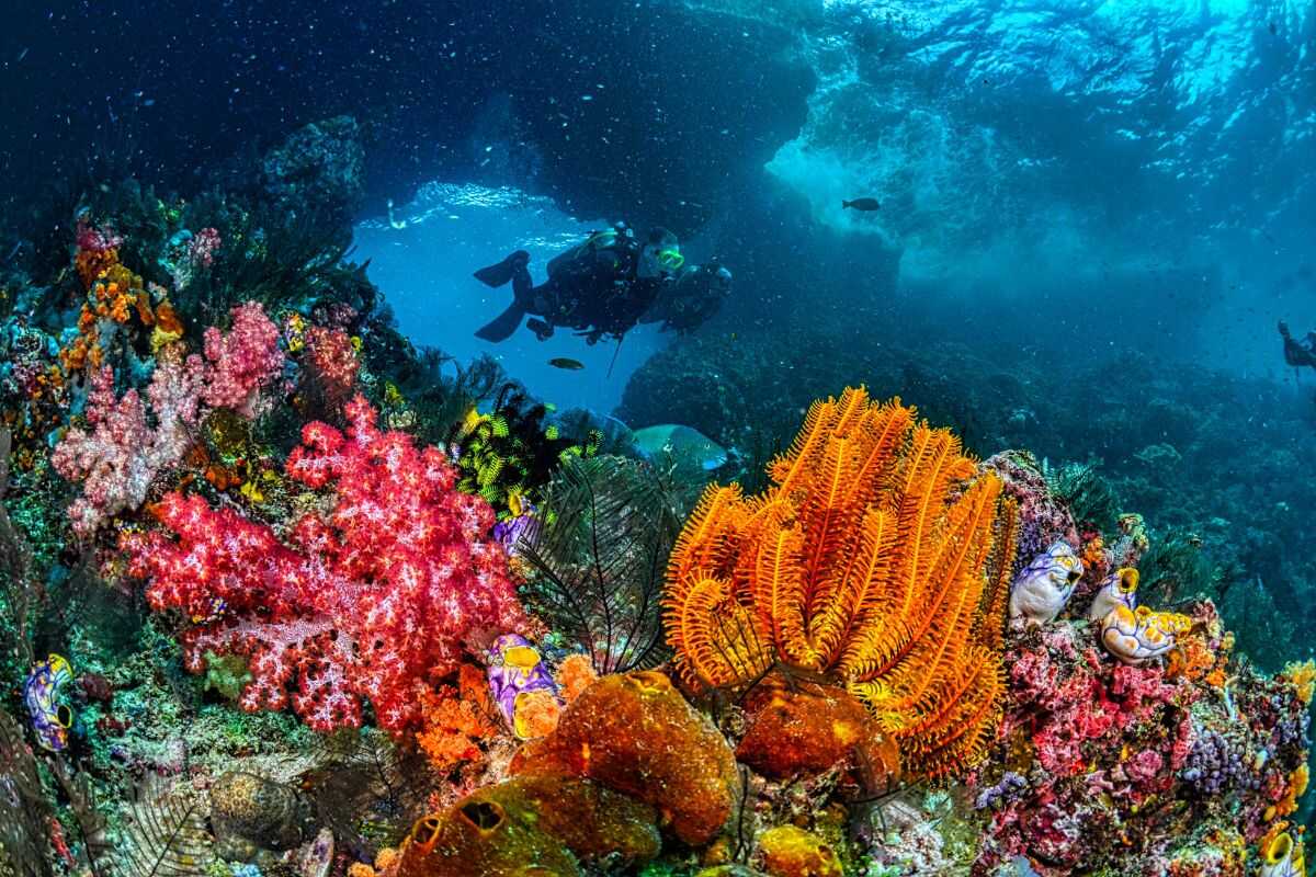 Scuba diving at Koh Tao with dive boat and clear tropical waters in Thailand