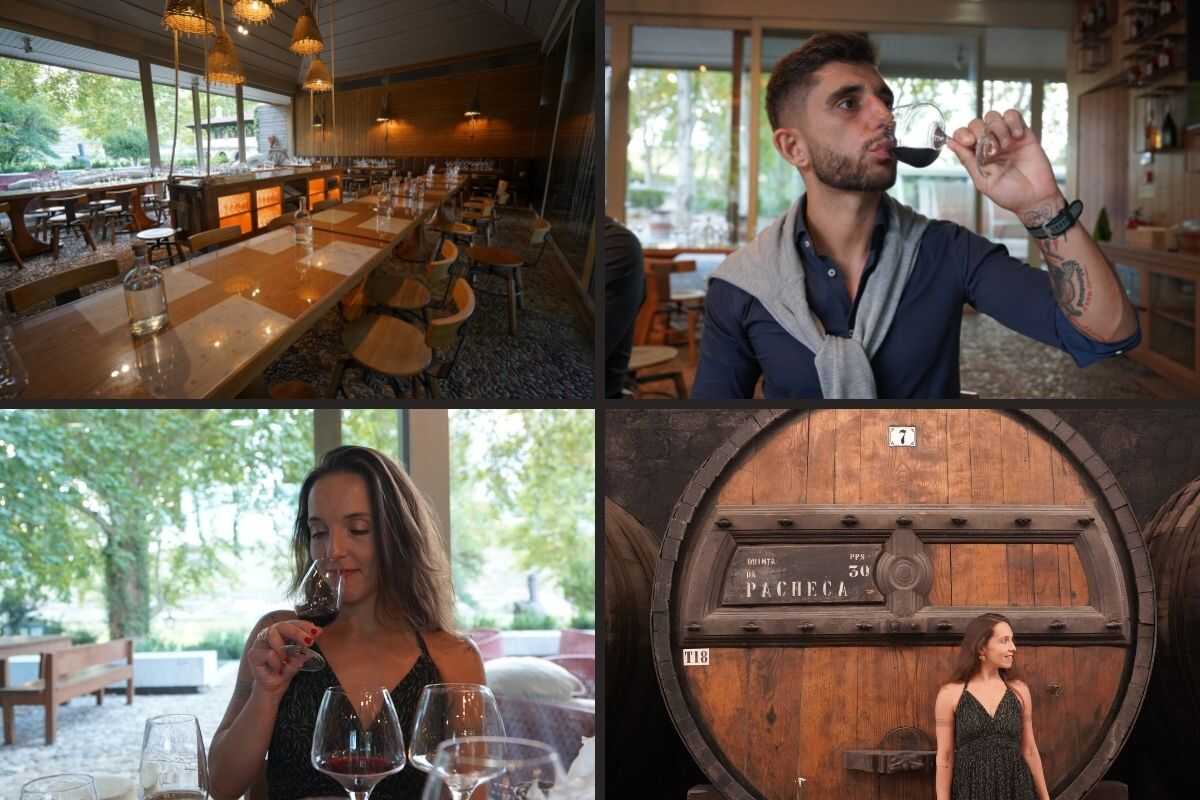 Wine Tasting Quinta da Pacheca