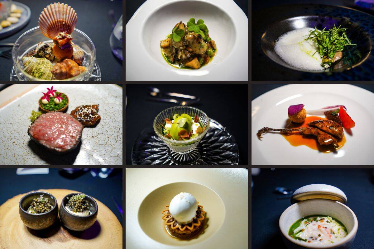 Fine Dining : 13 Course Menu