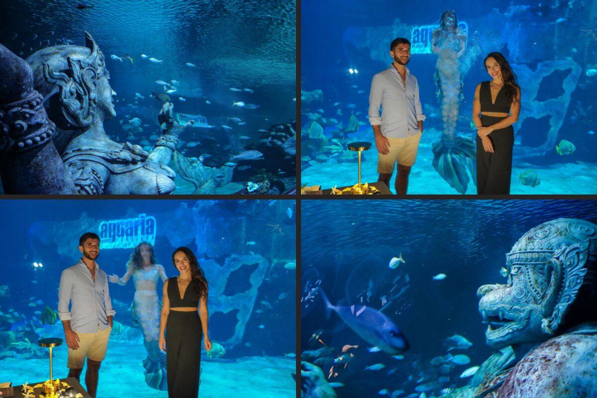 Mermaid Show