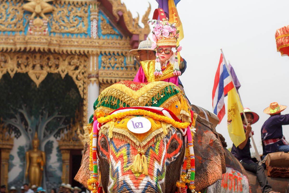 Elephants marching with trainers during the Surin Elephant Round-Up Festival in Thailand 2025